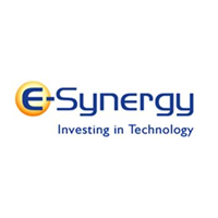 E-Synergy
