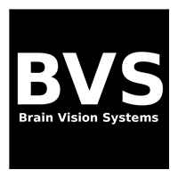 BVS Brain Vision Systems