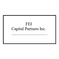 FEI Capital Partners