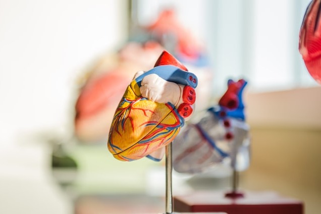 Transforming cardiovascular interventions